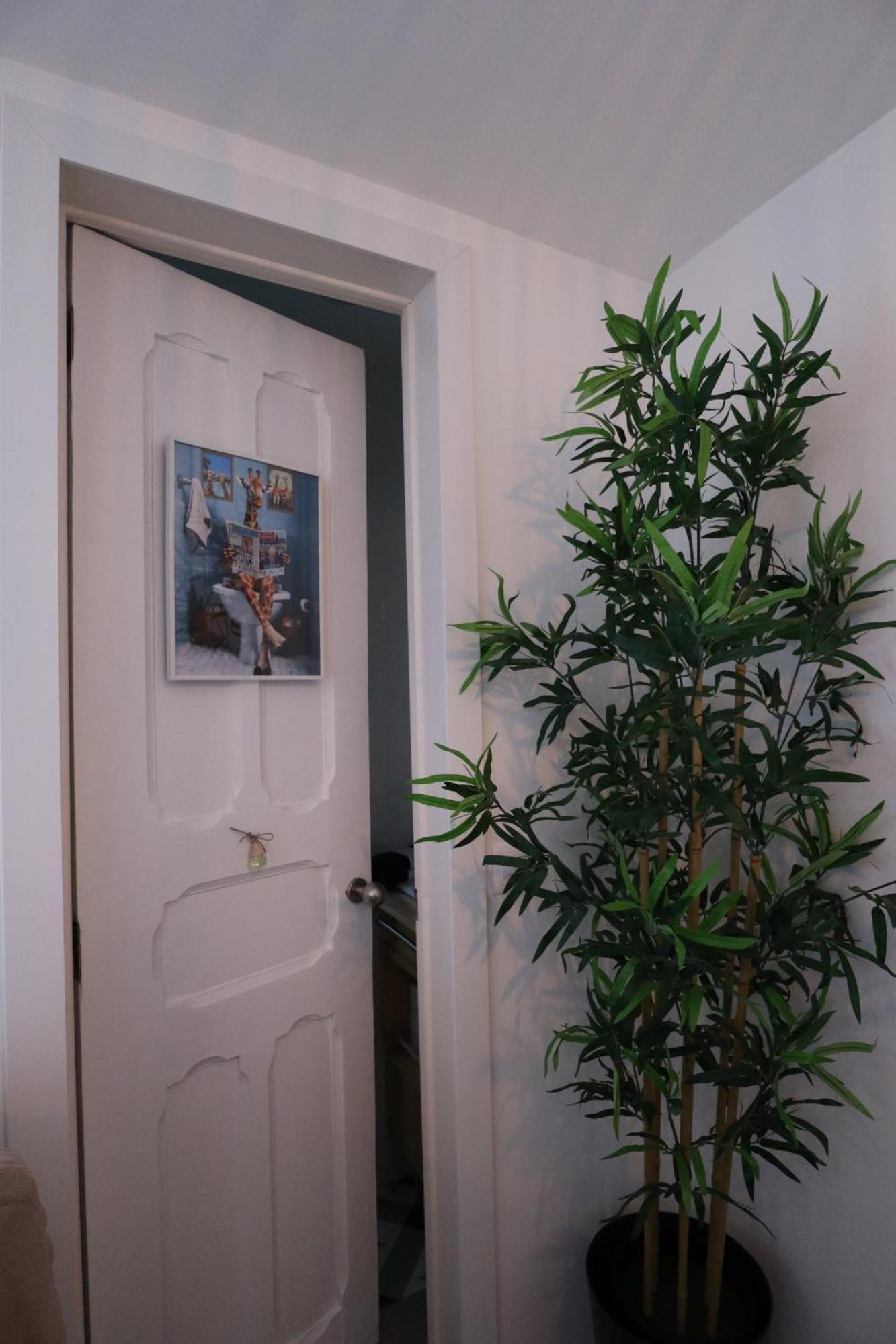 LisboaGiraffe House公寓 外观 照片